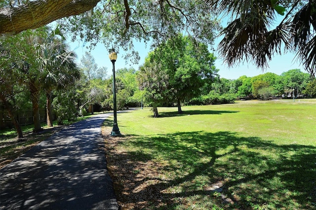 2590 Floyd St, Sarasota, FL 34239 - surrounding community featuring a yard