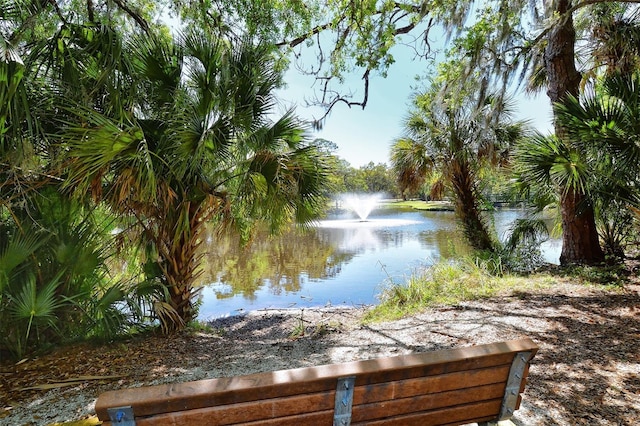 2590 Floyd St, Sarasota, FL 34239 - water view