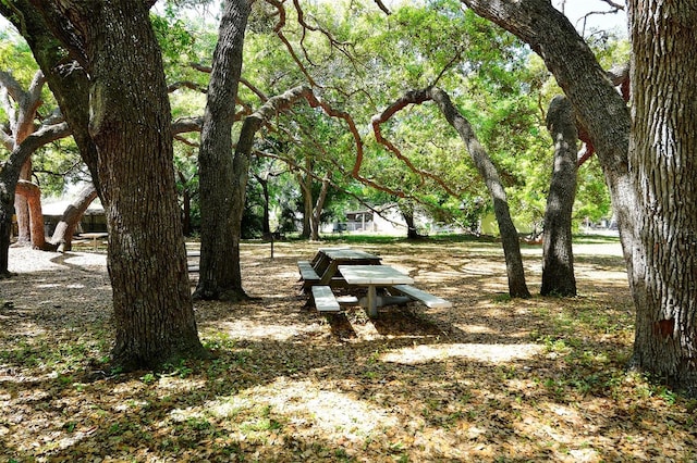 2590 Floyd St, Sarasota, FL 34239 - surrounding community