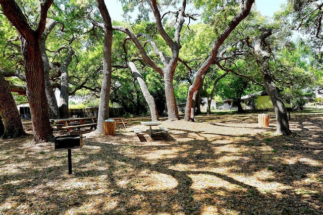 2590 Floyd St, Sarasota, FL 34239 - surrounding community
