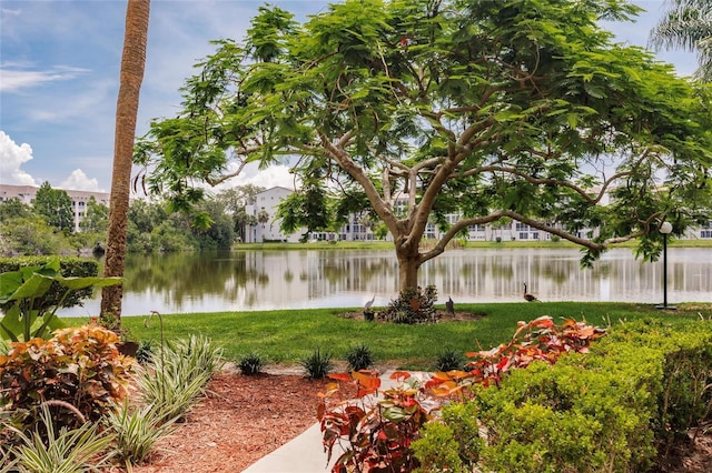3635 Lake Bayshore Dr Unit J-410, Bradenton, FL 34205 - photo 55