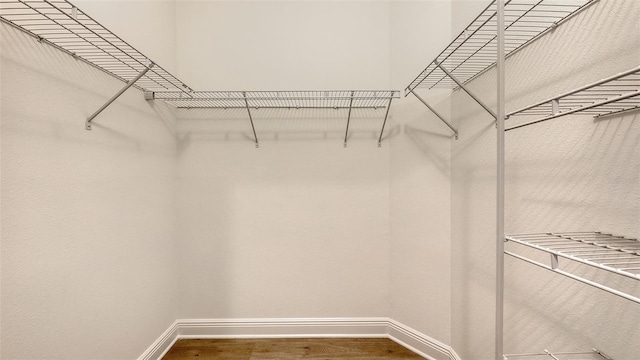 248 Altamura Cir, Nokomis, FL 34275 - walk in closet featuring wood finished floors