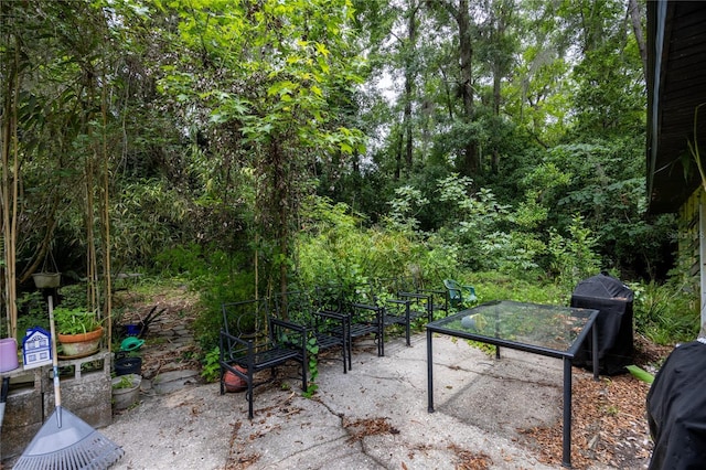 4310 NW 65th Ter, Gainesville, FL 32606 - view of patio featuring grilling area