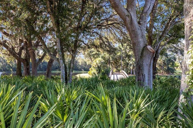 7211 Marston Ct, University Park, FL 34201 - view of yard featuring a water view
