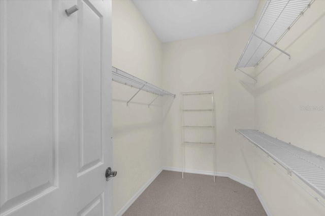 7026 43rd Ave E, Palmetto, FL 34221 - walk in closet featuring light colored carpet