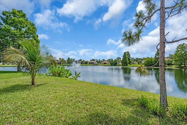 7026 43rd Ave E, Palmetto, FL 34221 - water view