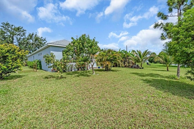 7026 43rd Ave E, Palmetto, FL 34221 - view of green lawn