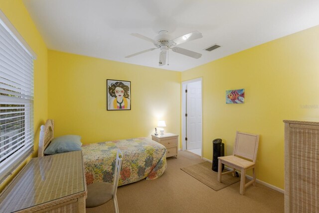 401 N Bay Blvd, Anna Maria, FL 34216 - photo 26
