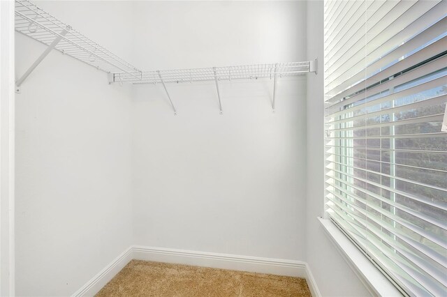 4532 Chinkapin Dr, Sarasota, FL 34232 - photo 64