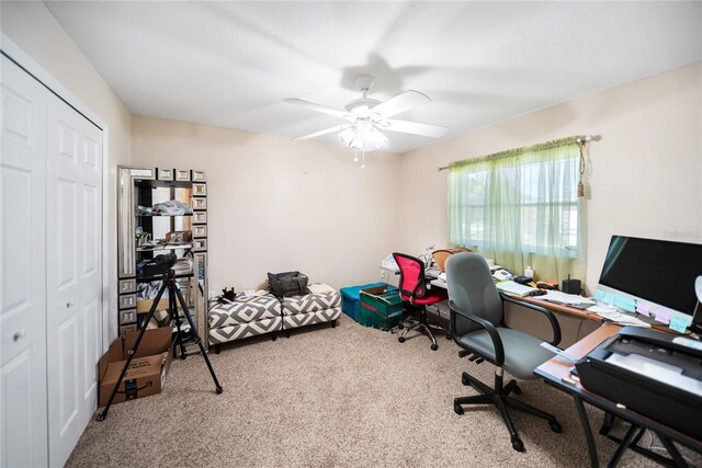 22378 Peachland Blvd, Port Charlotte, FL 33954 - photo 29