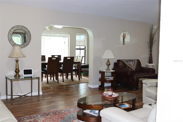 3683 Brown, Arcadia, FL 34266 - living room featuring wood finished floors and arched walkways