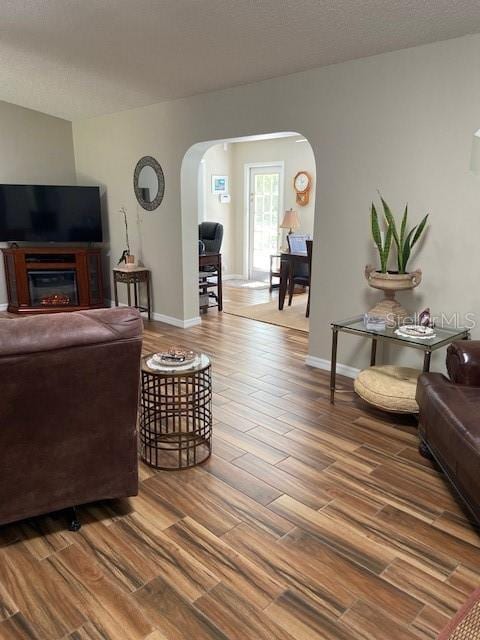 3683 Brown, Arcadia, FL 34266 - living area with arched walkways, wood finished floors, and a glass covered fireplace