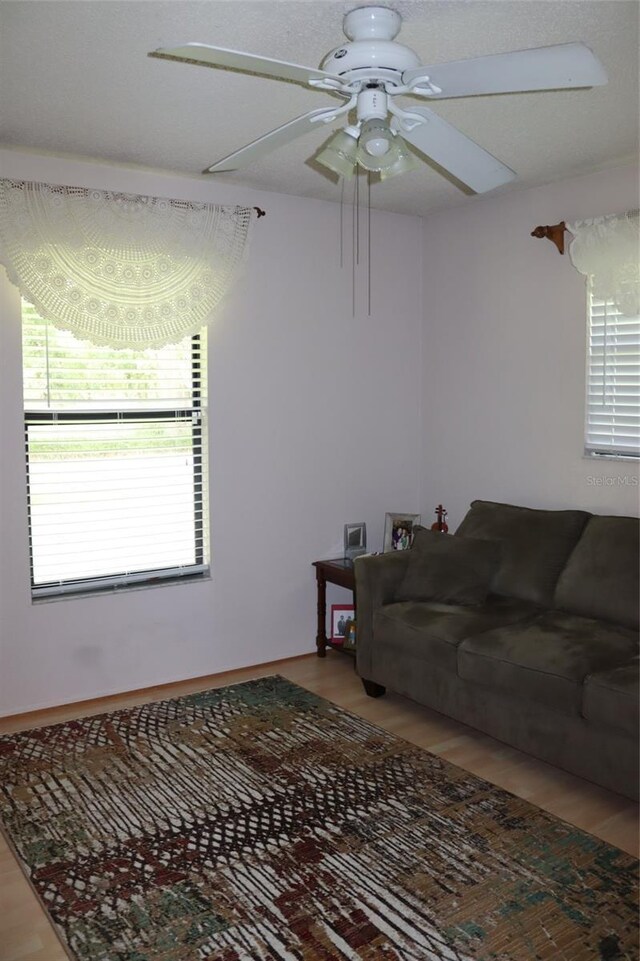 3683 Brown, Arcadia, FL 34266 - living area featuring wood finished floors and a ceiling fan