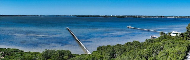 8009 20th Pl W, Bradenton, FL 34209 - photo 46