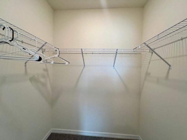 8995 Milestone Dr, Sarasota, FL 34238 - walk in closet with carpet flooring