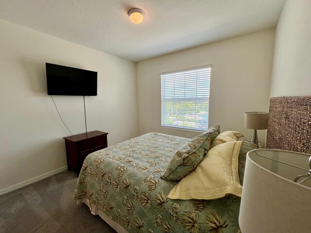 8995 Milestone Dr, Sarasota, FL 34238 - bedroom with carpet floors and baseboards