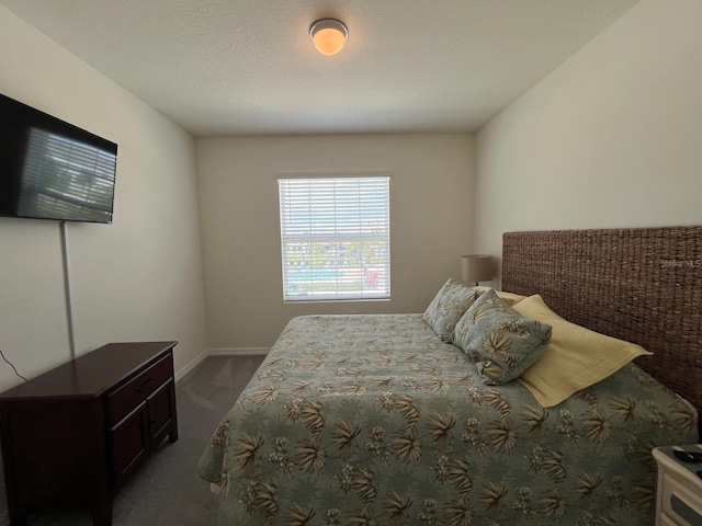 8995 Milestone Dr, Sarasota, FL 34238 - bedroom with dark carpet and baseboards