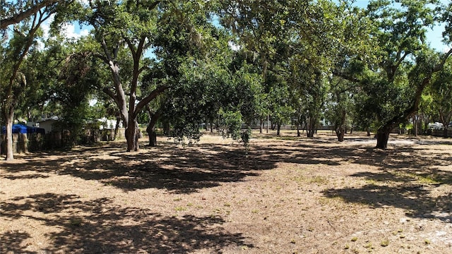 0 51st St, Sarasota, FL 34235
