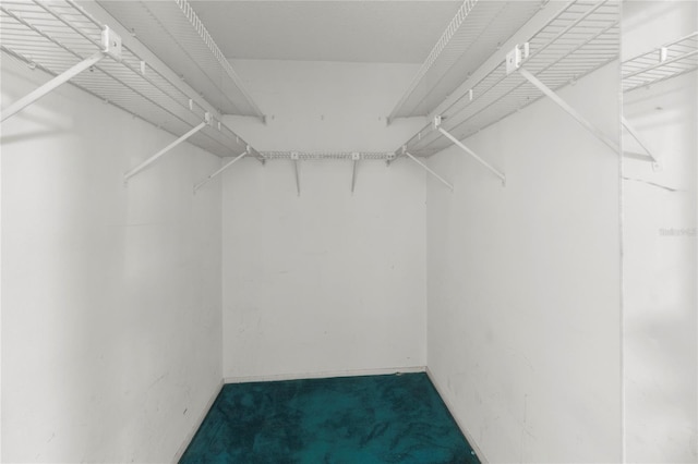 4805 Cypress Lake Ct, Sarasota, FL 34243 - spacious closet featuring carpet