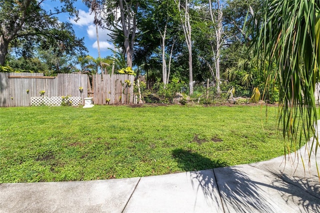 4805 Cypress Lake Ct, Sarasota, FL 34243 - view of yard