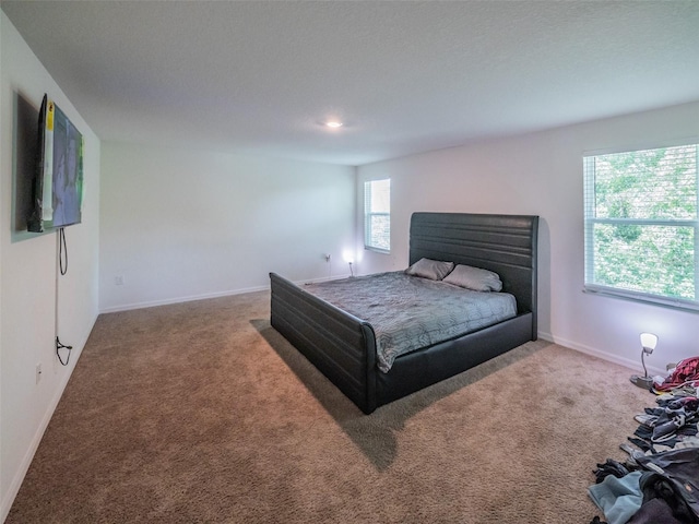 938 Mansfield Rd, Tavares, FL 32778 - bedroom featuring carpet