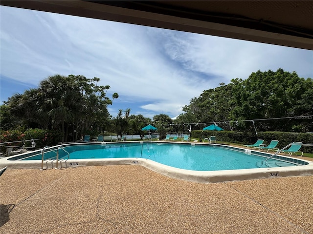 3810 75th St W Unit 137, Bradenton, FL 34209 - community pool with a patio and view of wooded area