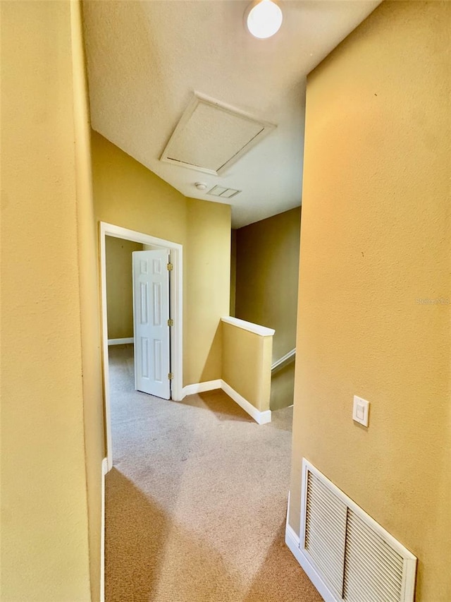 5620 Whitehead St, Bradenton, FL 34203 - photo 9