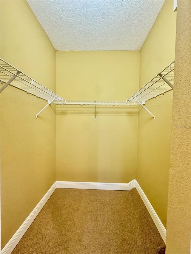 5620 Whitehead St, Bradenton, FL 34203 - photo 13