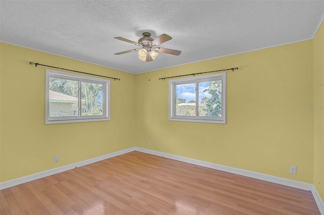1674 Cottonwood Trl, Sarasota, FL 34232 - empty room with healthy amount of natural light, light wood-style flooring, ceiling fan, and a textured ceiling
