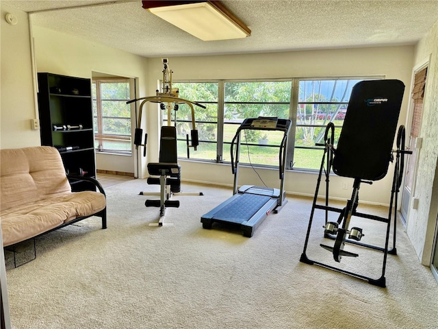 6806 18th Ave W, Bradenton, FL 34209 - workout room featuring carpet and a textured ceiling