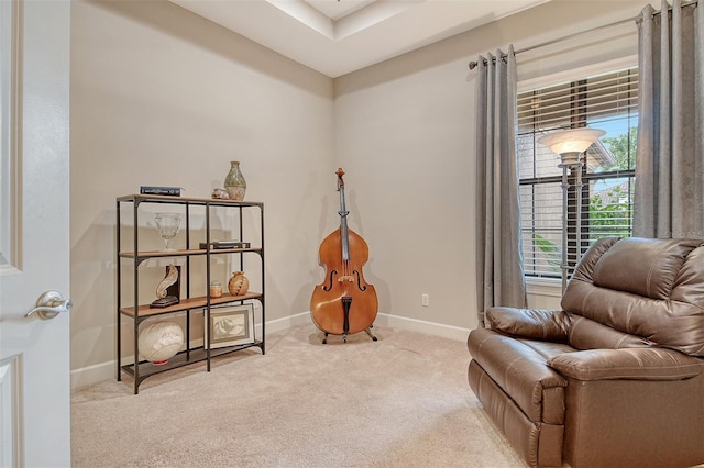 4916 Tivoli Run, Bradenton, FL 34211 - photo 26
