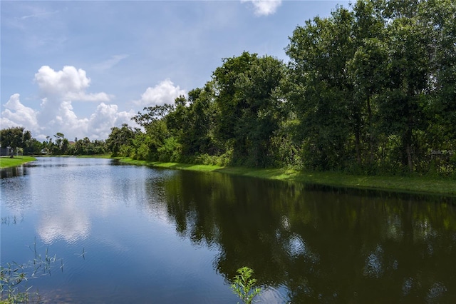 6114 68th Dr E, Palmetto, FL 34221 - water view with a forest