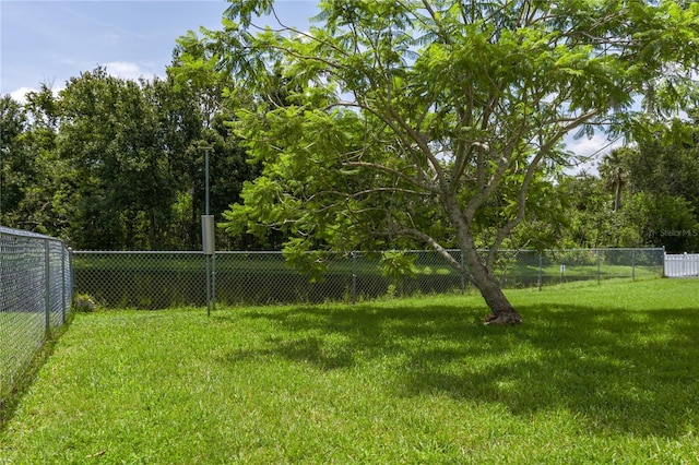 6114 68th Dr E, Palmetto, FL 34221 - view of yard