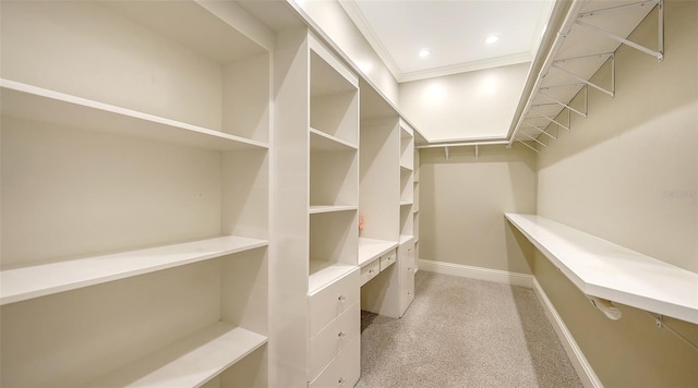 6050 Saddle Oak Trl, Sarasota, FL 34241 - spacious closet featuring light colored carpet