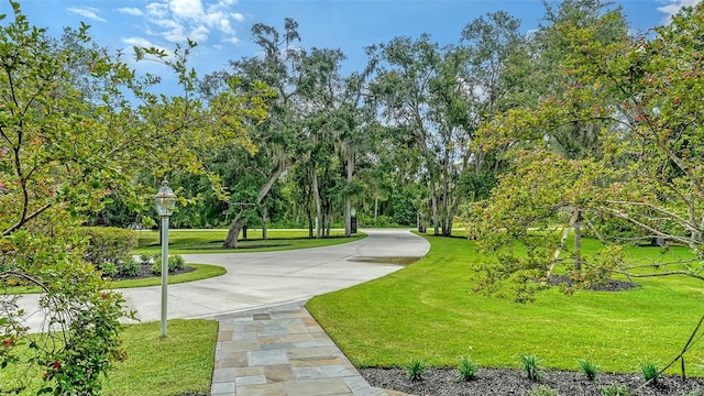 6050 Saddle Oak Trl, Sarasota, FL 34241 - view of community featuring a lawn and view of wooded area