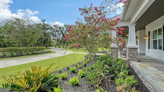 6050 Saddle Oak Trl, Sarasota, FL 34241 - view of green lawn