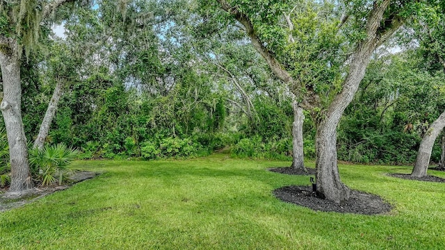 6050 Saddle Oak Trl, Sarasota, FL 34241 - view of grassy yard