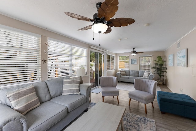 1004 68th St NW, Bradenton, FL 34209 - photo 16