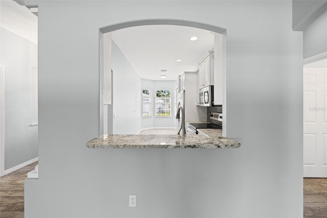1042 Whitegate Ct, Sarasota, FL 34232 - kitchen with stainless steel appliances, wood finished floors, arched walkways, light stone counters, and recessed lighting