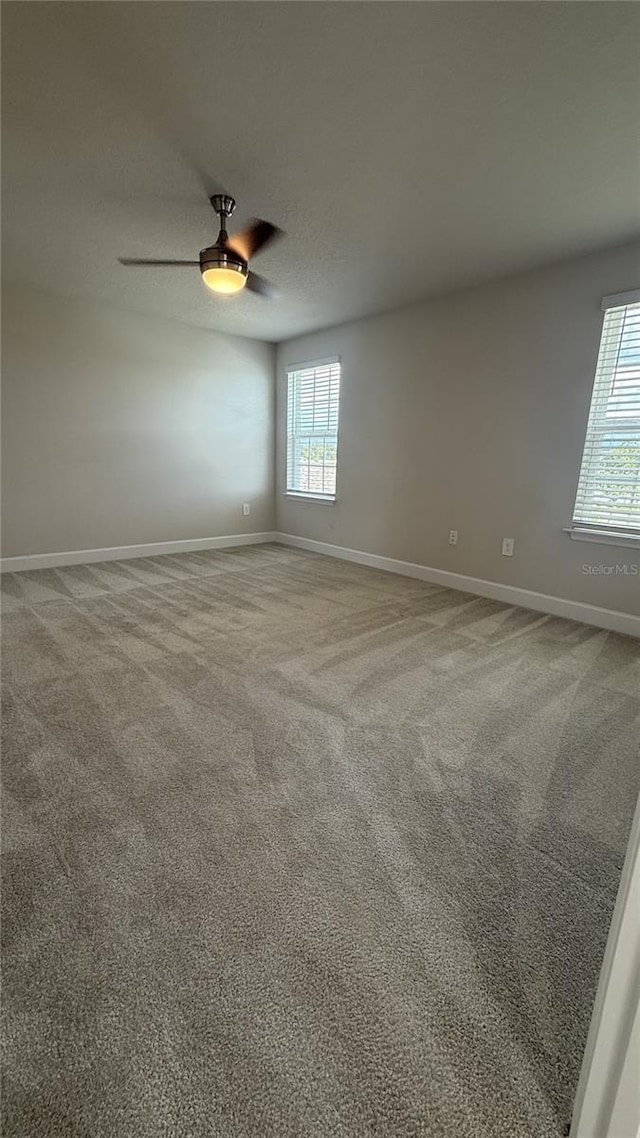 14312 Crimson Ave, Bradenton, FL 34211 - unfurnished room with plenty of natural light, ceiling fan, and carpet flooring