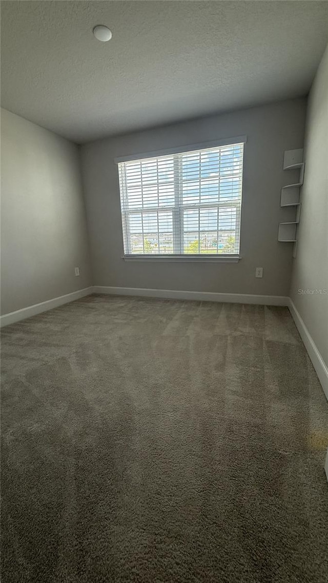 14312 Crimson Ave, Bradenton, FL 34211 - spare room featuring a textured ceiling, plenty of natural light, and carpet flooring