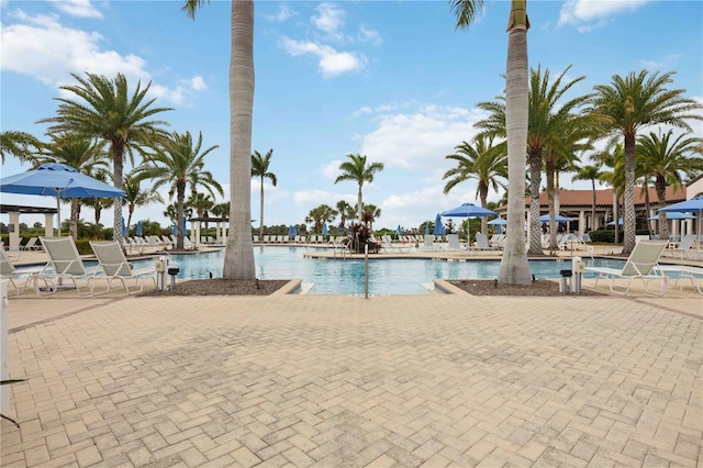 25143 Spartina Dr, Venice, FL 34293 - photo 58