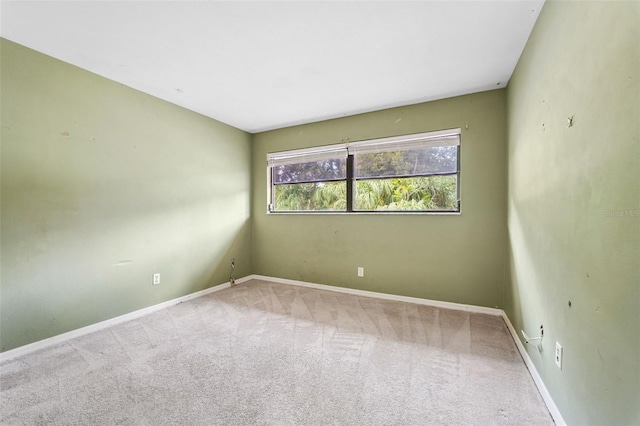 8700 Dr Martin Luther King Jr St N Unit 8700, Saint Petersburg, FL 33702 - photo 13