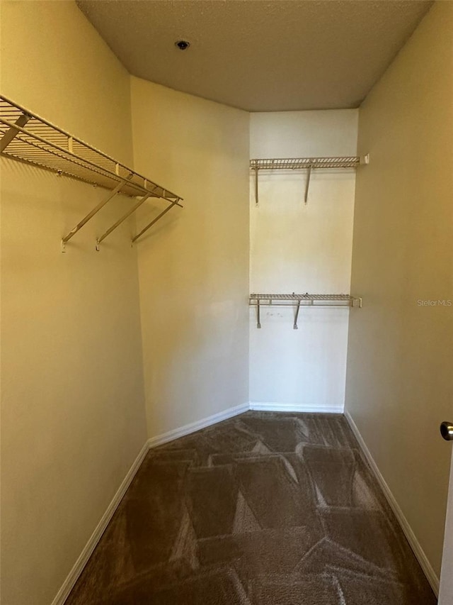 4002 Crockers Lake Blvd Unit 11, Sarasota, FL 34238 - spacious closet with dark colored carpet