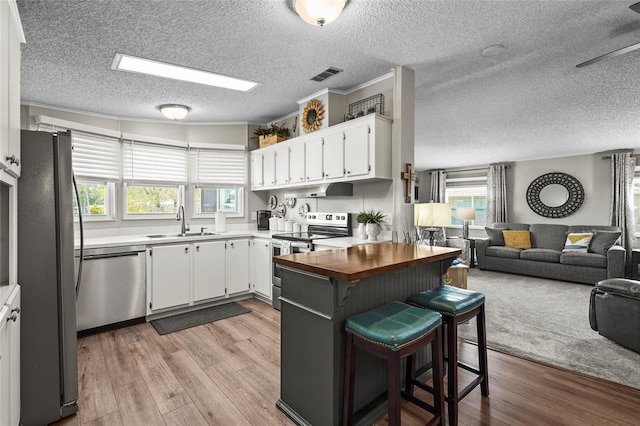 8470 Imperial Cir, Palmetto, FL 34221 - kitchen with stainless steel appliances, open floor plan, plenty of natural light, light wood-type flooring, and a textured ceiling
