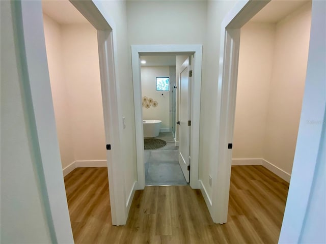 3616 Bellefonte Ave, North Port, FL 34286 - hall featuring light wood-style floors and baseboards