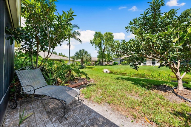 3530 Wilkinson Woods Dr Unit 14, Sarasota, FL 34231 - photo 30