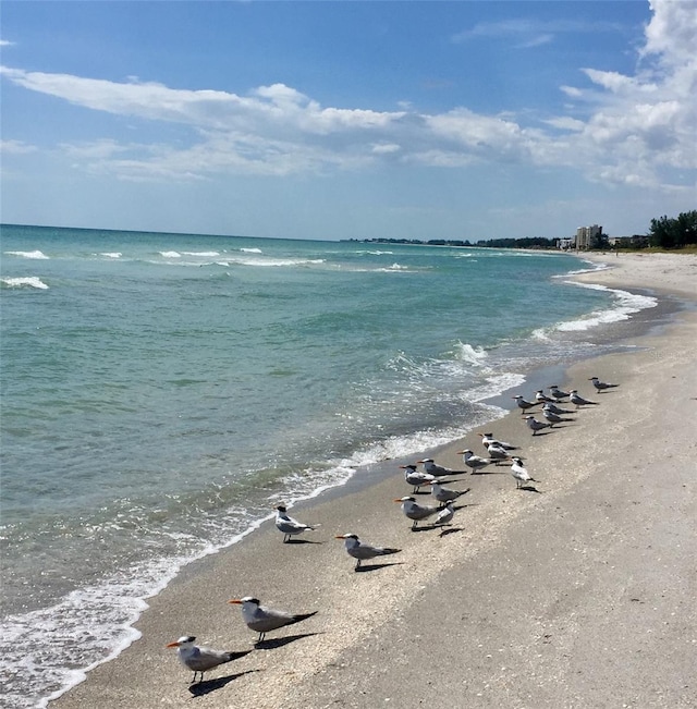 5524 Antilles Dr, Sarasota, FL 34231 - water view with local beach