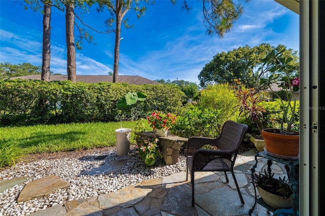 2411 New Haven Cir Unit 70, Sun City Center, FL 33573 - view of patio