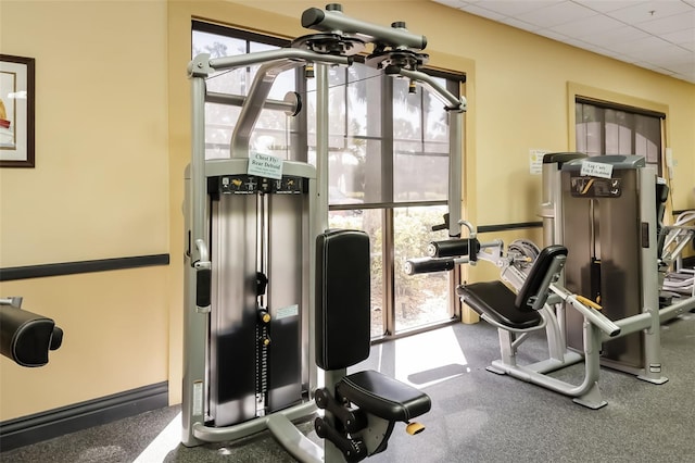 2411 New Haven Cir Unit 70, Sun City Center, FL 33573 - view of exercise room